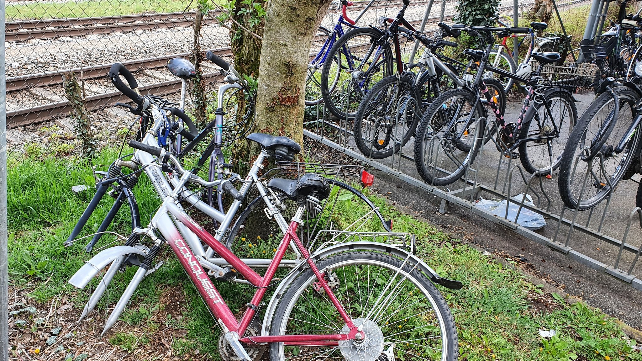 Neufahrns langer Weg zur "fahrradfreundlichen" Kommune