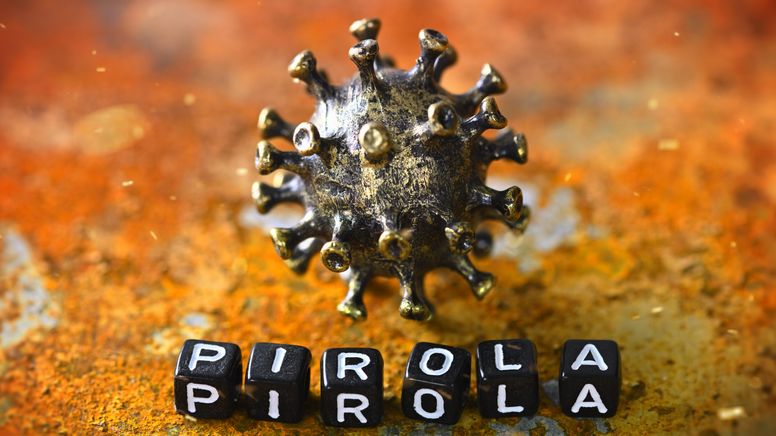Modell Corona-Virus, darunter Würfel mit Buchstaben "Pirola" | Bild:picture alliance / CHROMORANGE | Christian Ohde