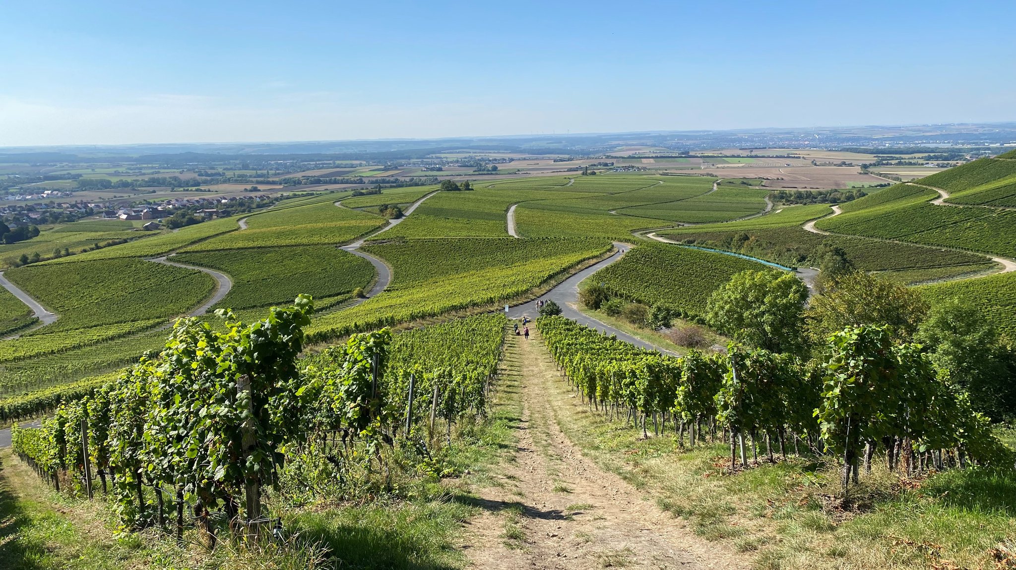 Streit um Mainwasser: Gegner der Wein-Wasser-Leitung unterliegen