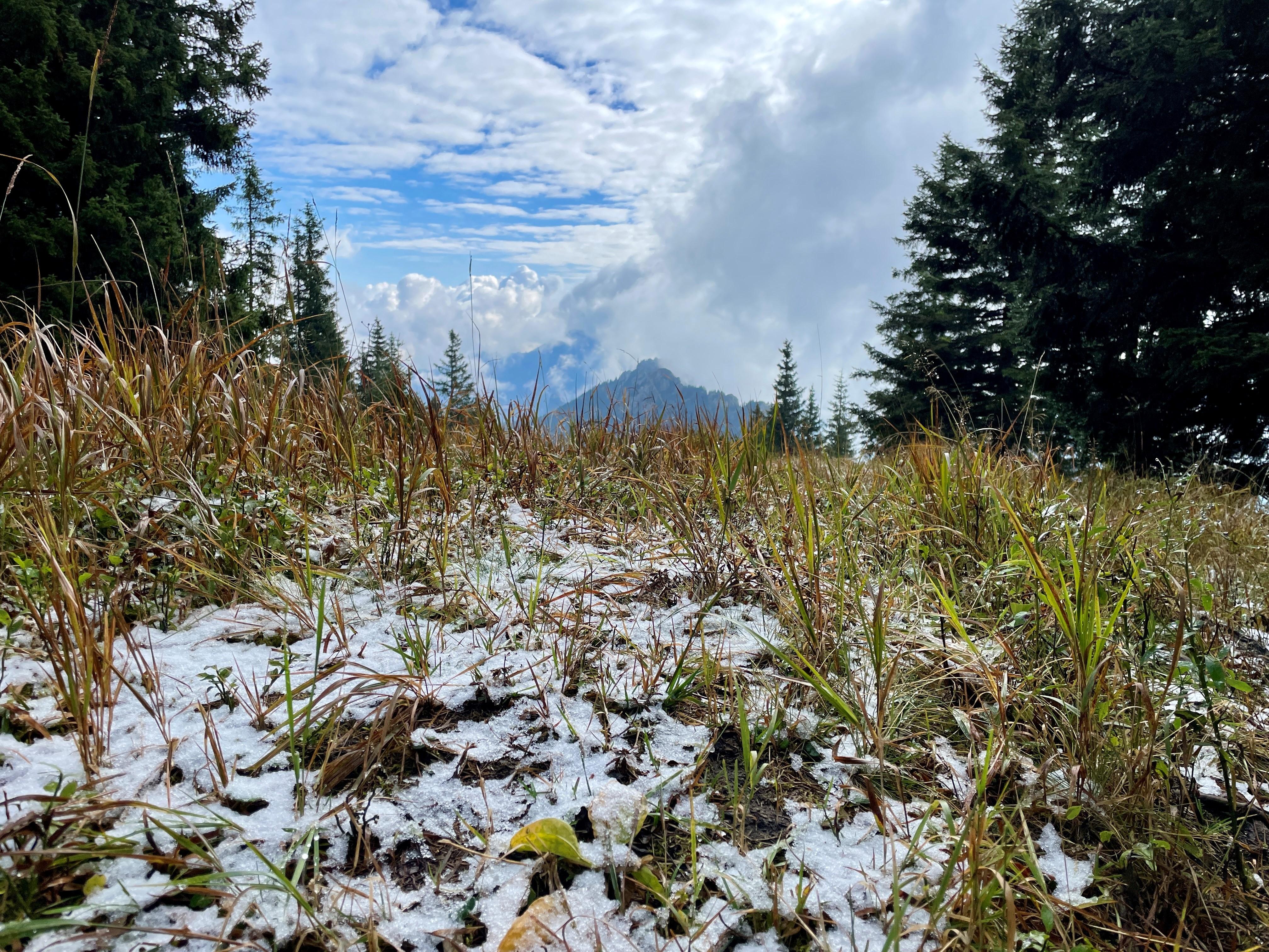 Berglandschaft im Herbst