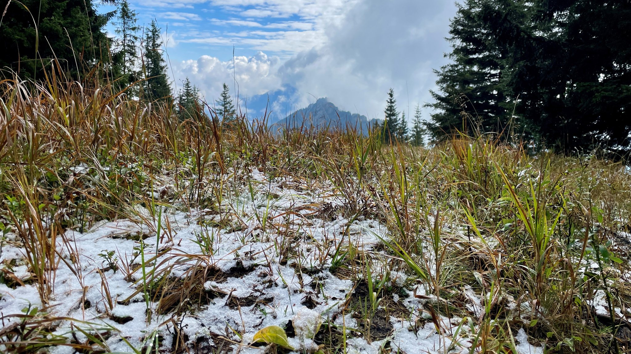 Berglandschaft im Herbst | Bild: Foto: BR/ Anton Kästner Berglandschaft im Herbst