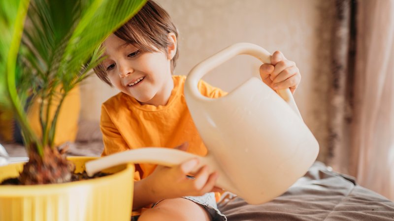 Ein Kleiner Junge sitzt auf dem Bett und gießt eine Pflanze | Bild: picture alliance / Westend61 | Anastasiya Amraeva Ein Kleiner Junge sitzt auf dem Bett und gießt eine Pflanze