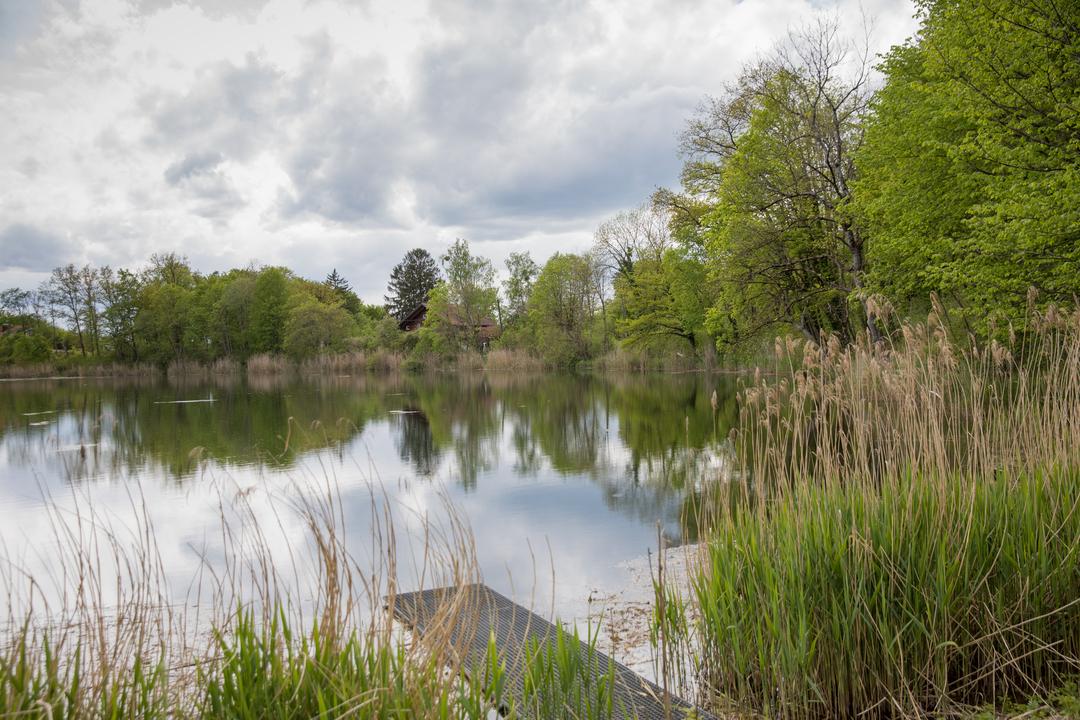 Fünfjähriger fällt in Teich Vater rettet ihm das Leben BR24