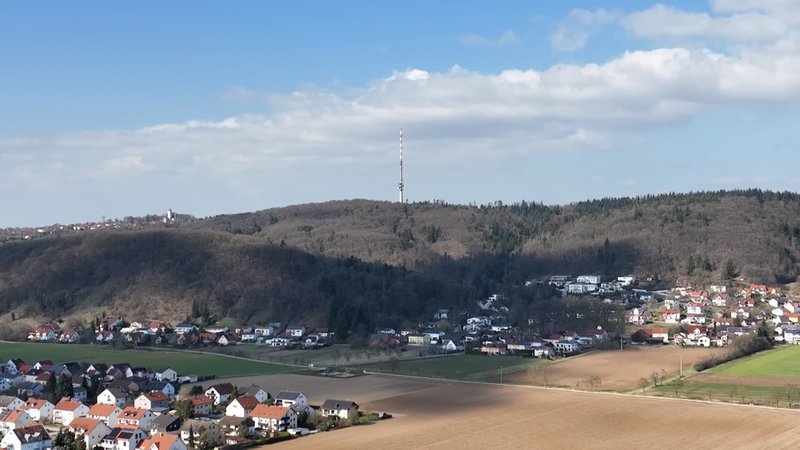 Windkraft im Wald: Thurn und Taxis plant Anlagen an der Donau
