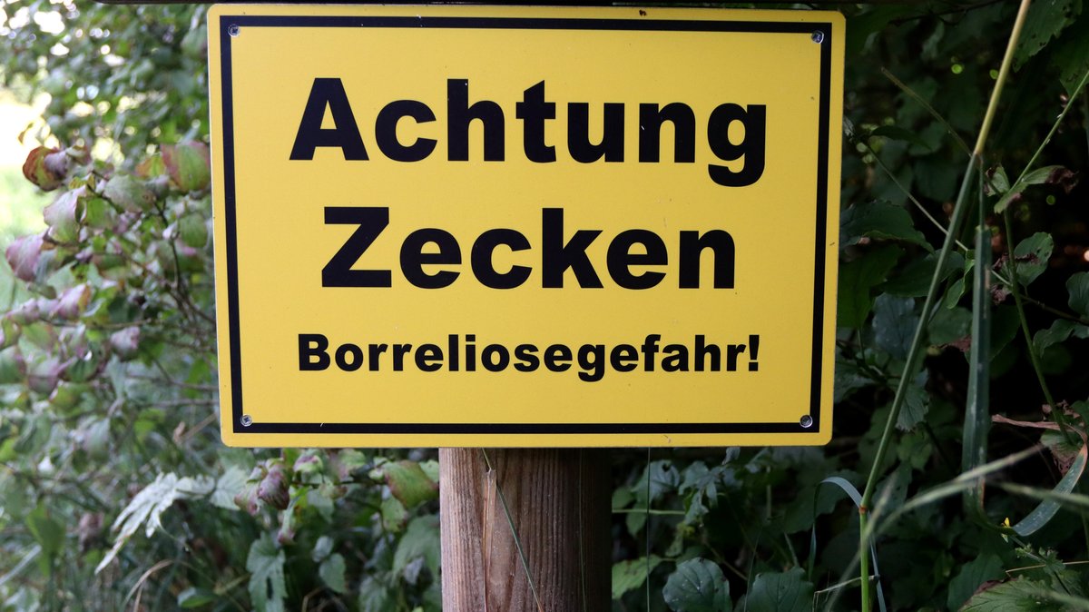 Ein gelbes Schild im Grünen mit der Aufschrift: Achtung Zecken: Borreliosegefahr