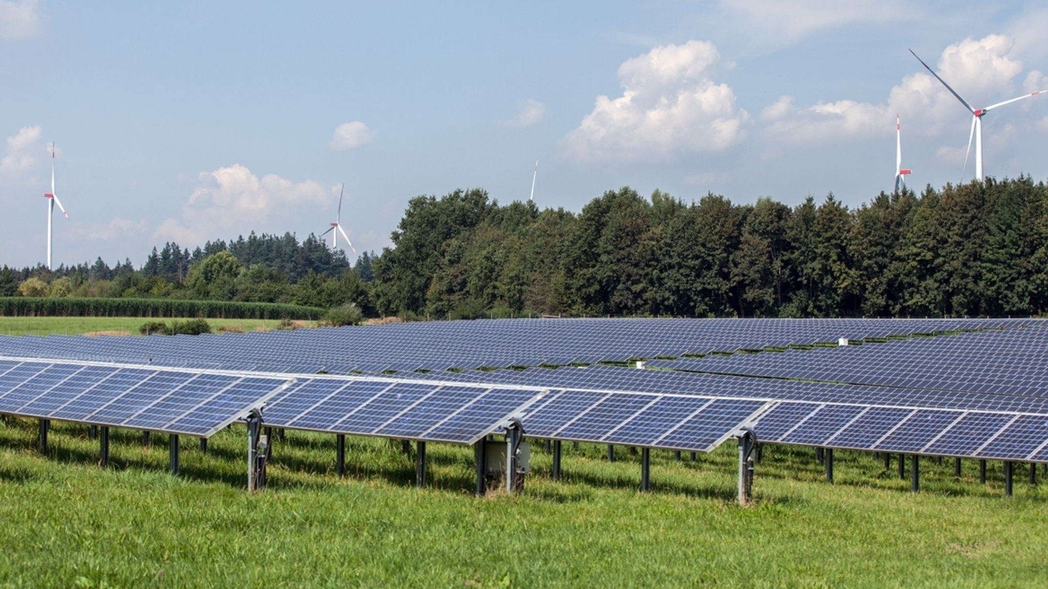 Sonnenkollektoren auf einer Wiese