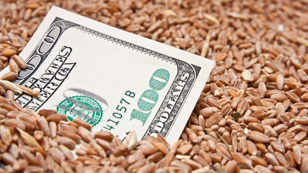 100-US-Dollar-Schein liegt unter Getreidekörnern