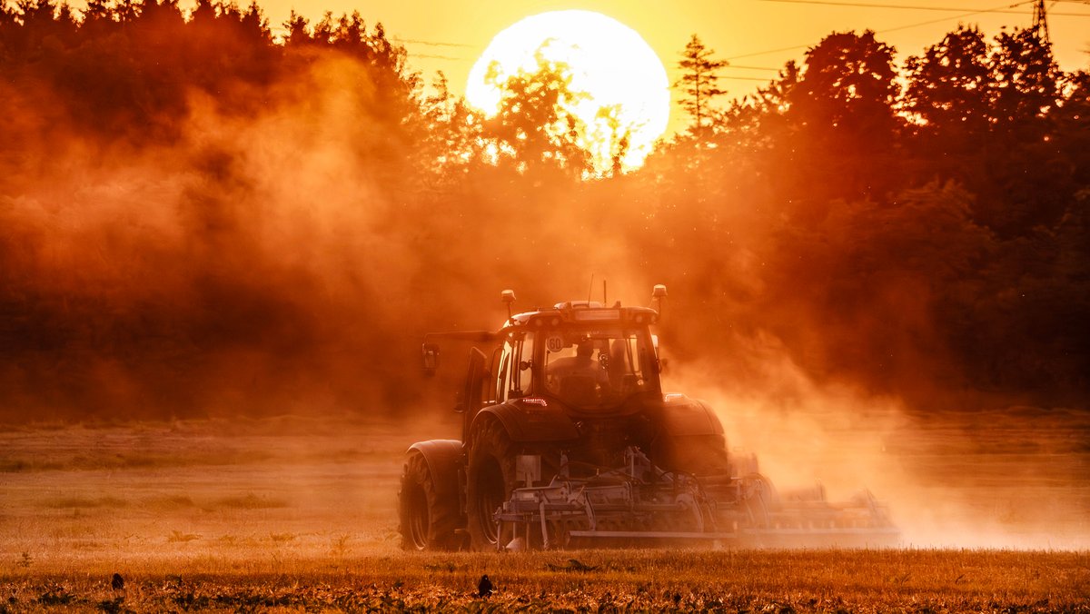Ernte zwischen Dürre und Regen - Bauern unter Druck? 