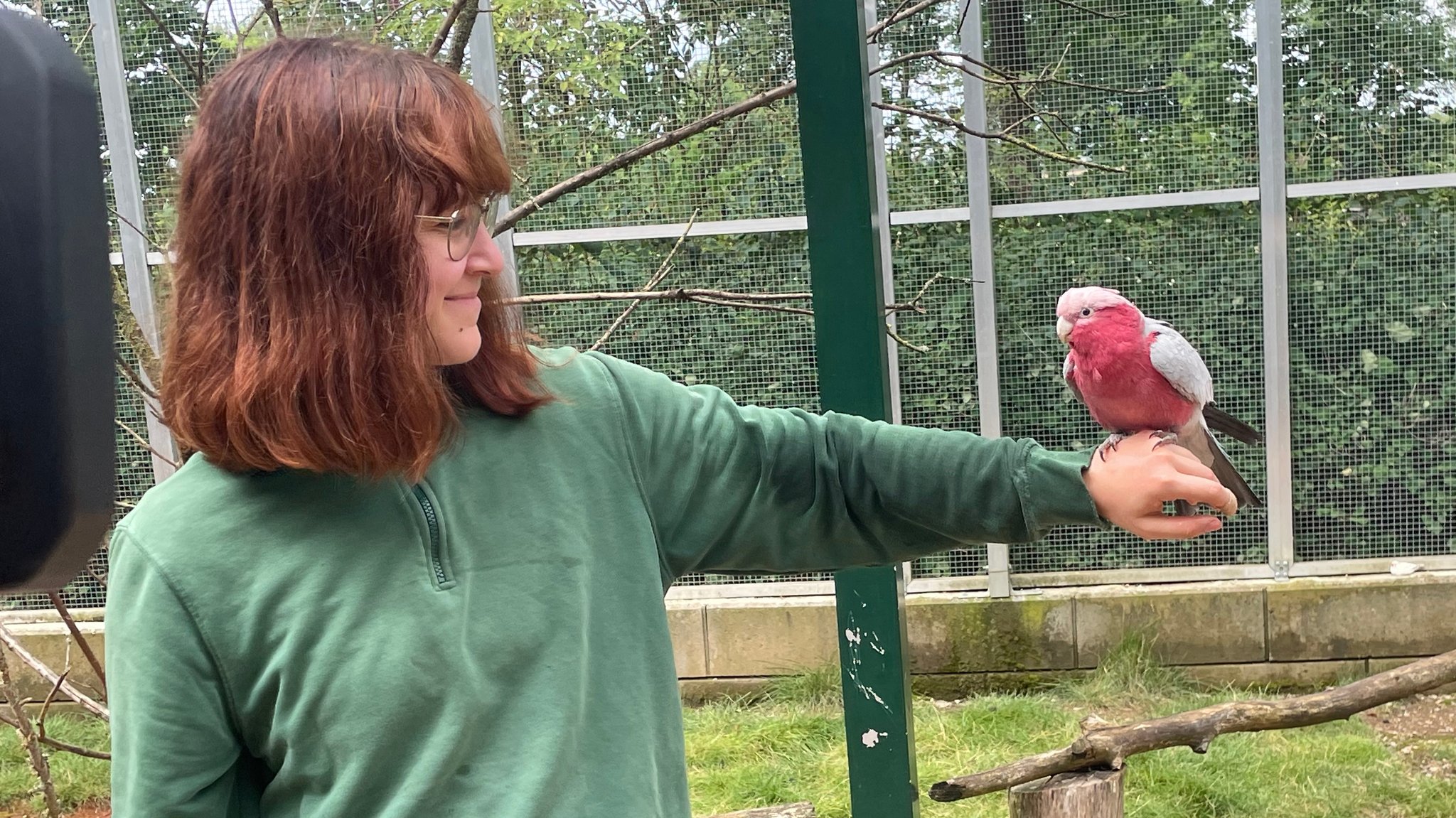 Eine junge Frau mit einem rosa-grauen Vogel auf dem Arm