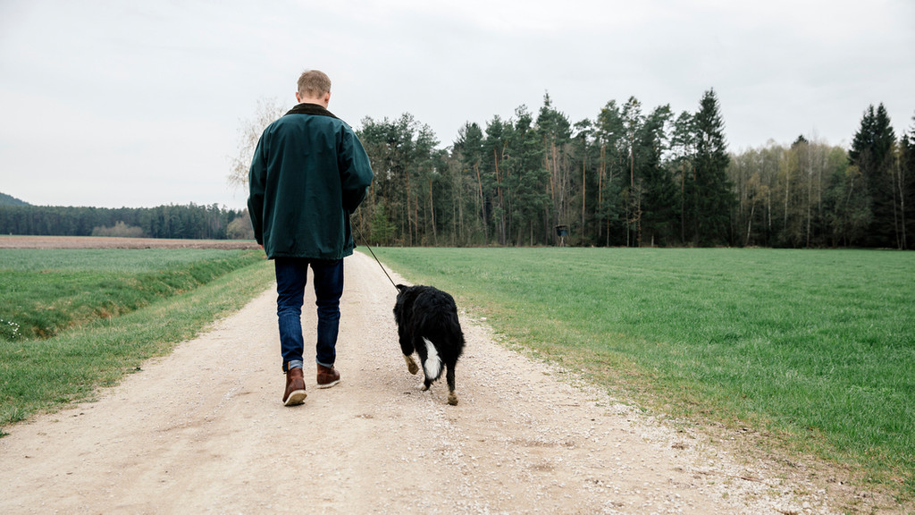 Leinenpflicht für Hunde? In bayerischen Wäldern gibt es keine. Allerdings dürfen Vierbeiner in Jagdgebieten nicht unbeaufsichtigt herumlaufen.