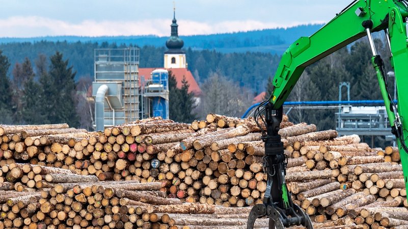 Das Sägewerk in Plößberg. | Bild: picture alliance/dpa | Armin Weigel Das Sägewerk in Plößberg.