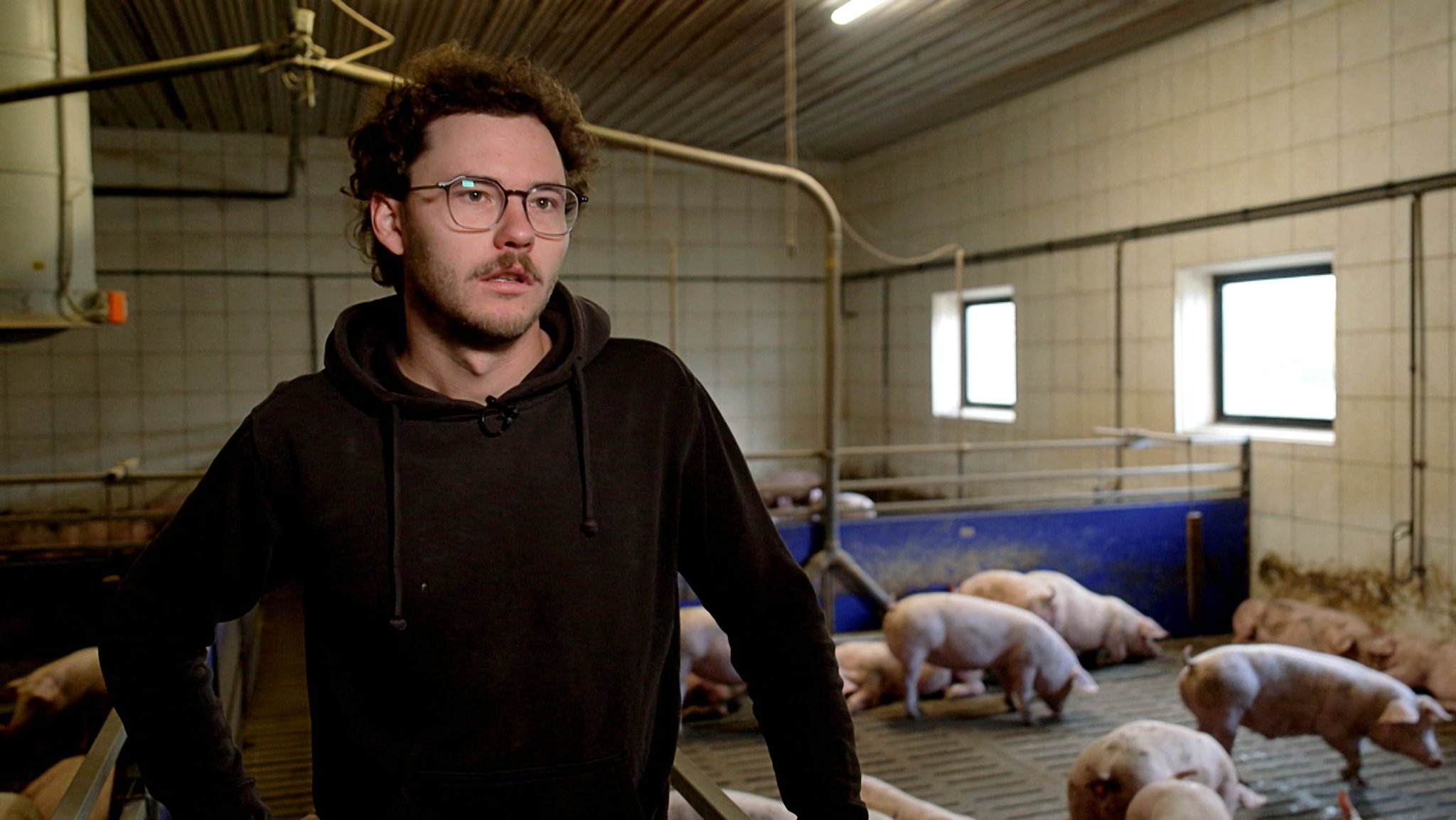 Schweinehalter Johannes Bauer steht vor der Herausforderung, einen neuen Schlachthof für seine 1800 Schweine zu finden. 