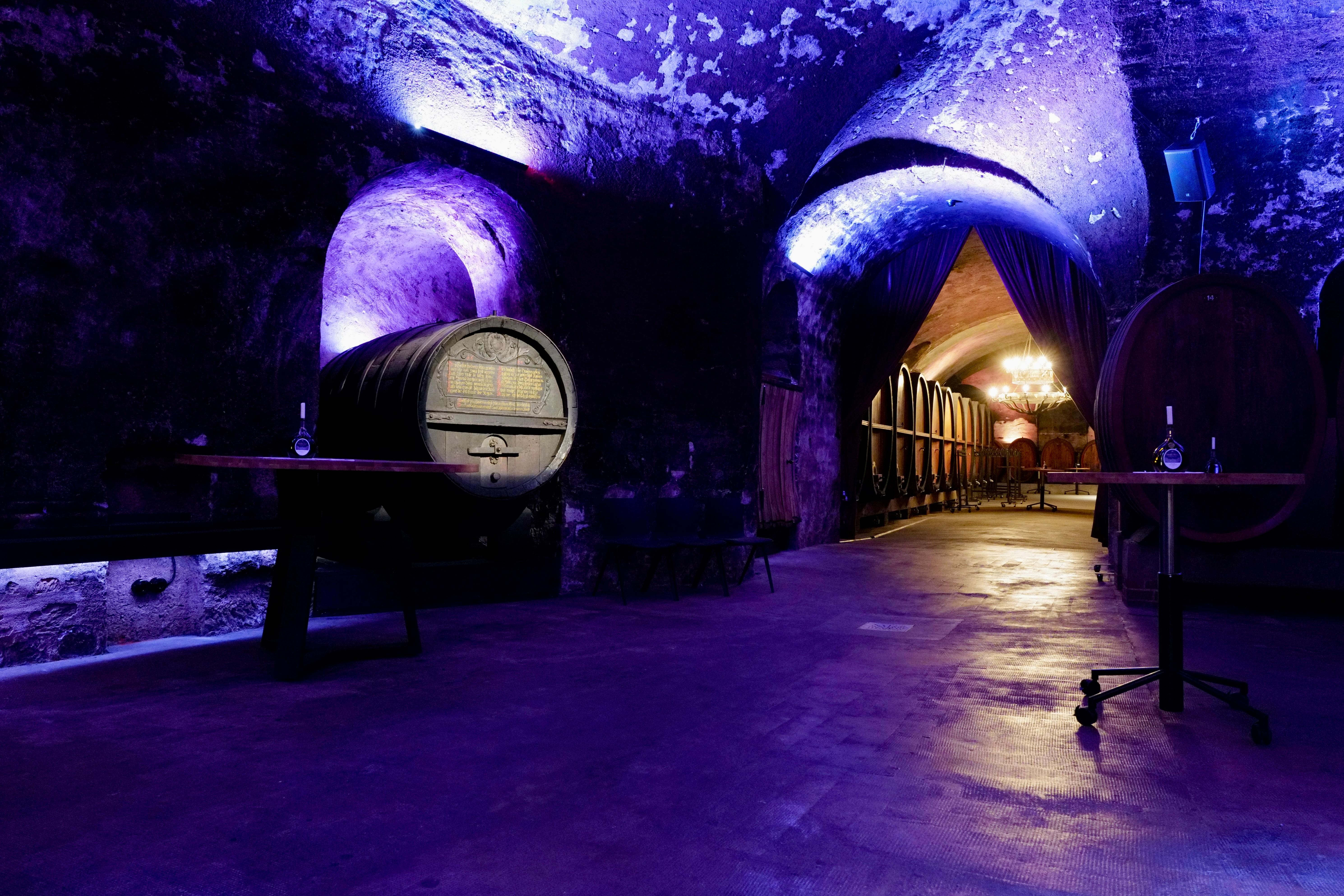 Blick in den Hofkeller der Würzburger Residenz in violetter Beleuchtung, große Fässer an den Wänden und oben ein Gewölbe