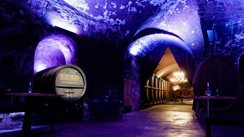 Blick in den Hofkeller der Würzburger Residenz in violetter Beleuchtung, große Fässer an den Wänden und oben ein Gewölbe
