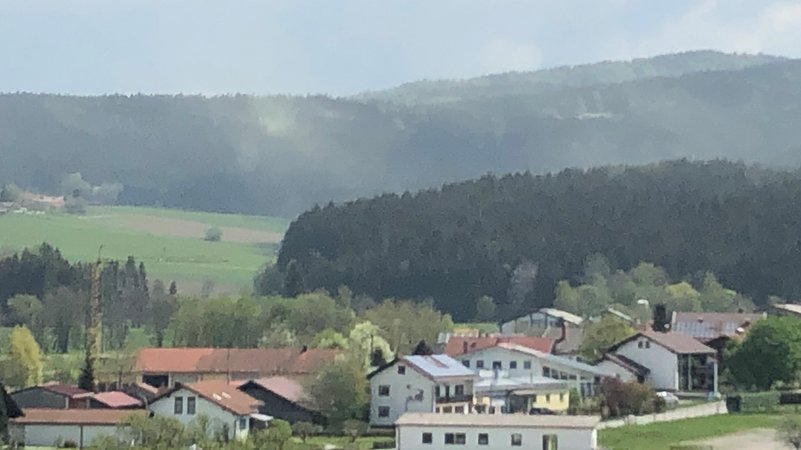 Ein gelb-grüner Schleier liegt über dem Bayerischen Wald