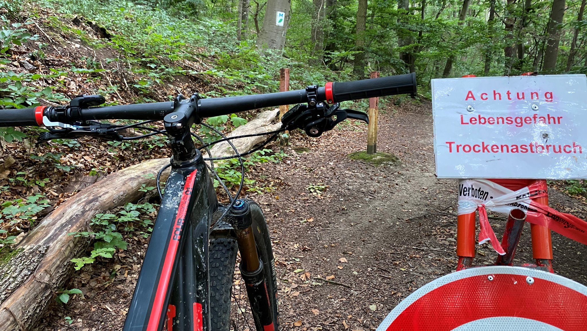 "Achtung Lebensgefahr, Trockenast-Bruch": Das steht auf einem Schild auf einem Wanderweg im Landkreis Würzburg. Teile des Weges sind gesperrt. Neben dem Schild steht ein Fahrrad.