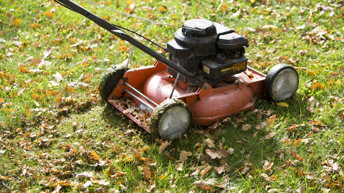 Garten-Tipp: Wann sollte man im Herbst den Rasen mähen?