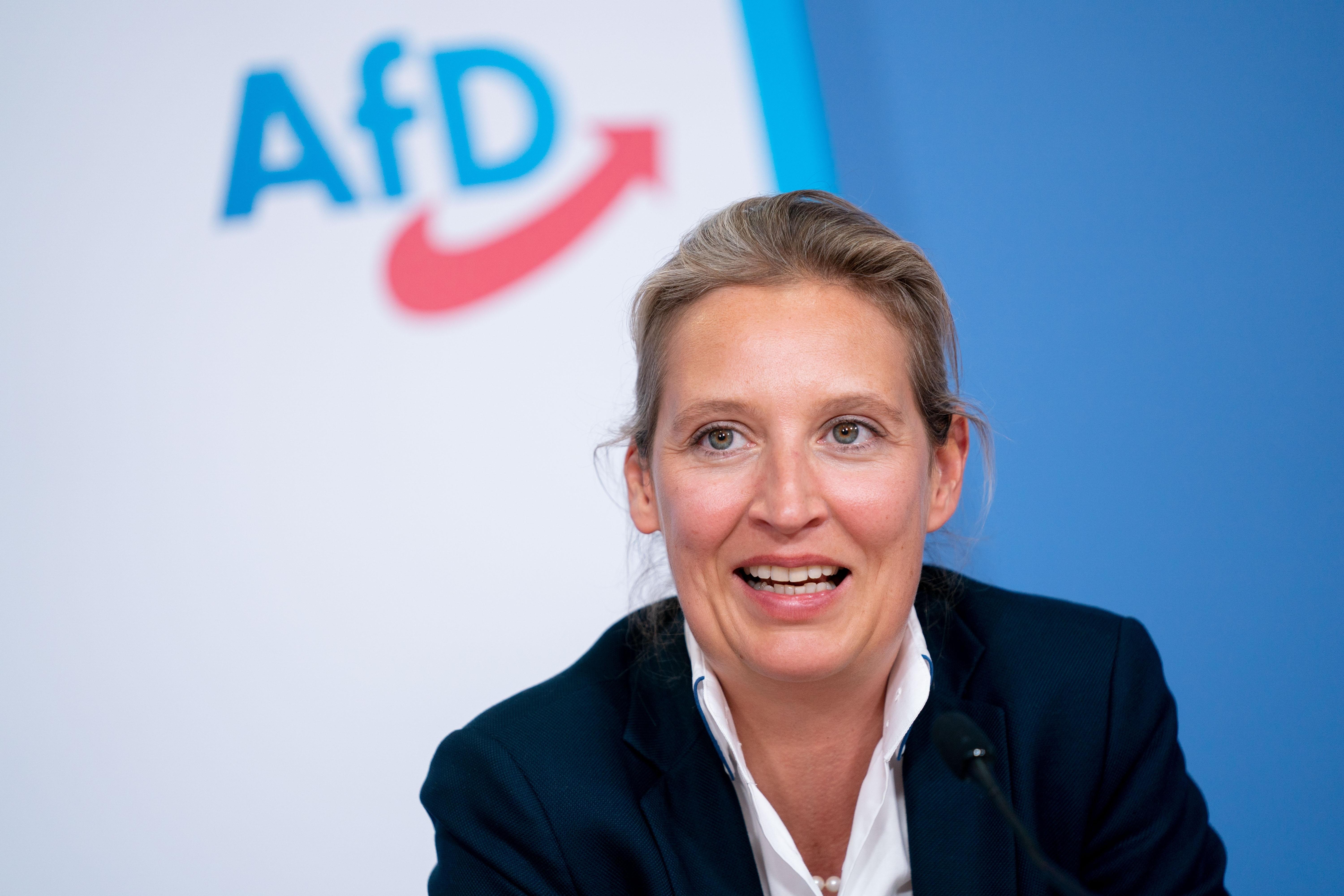 Untypisch Für Die AfD? Frontfrau Alice Weidel Im Porträt | BR24