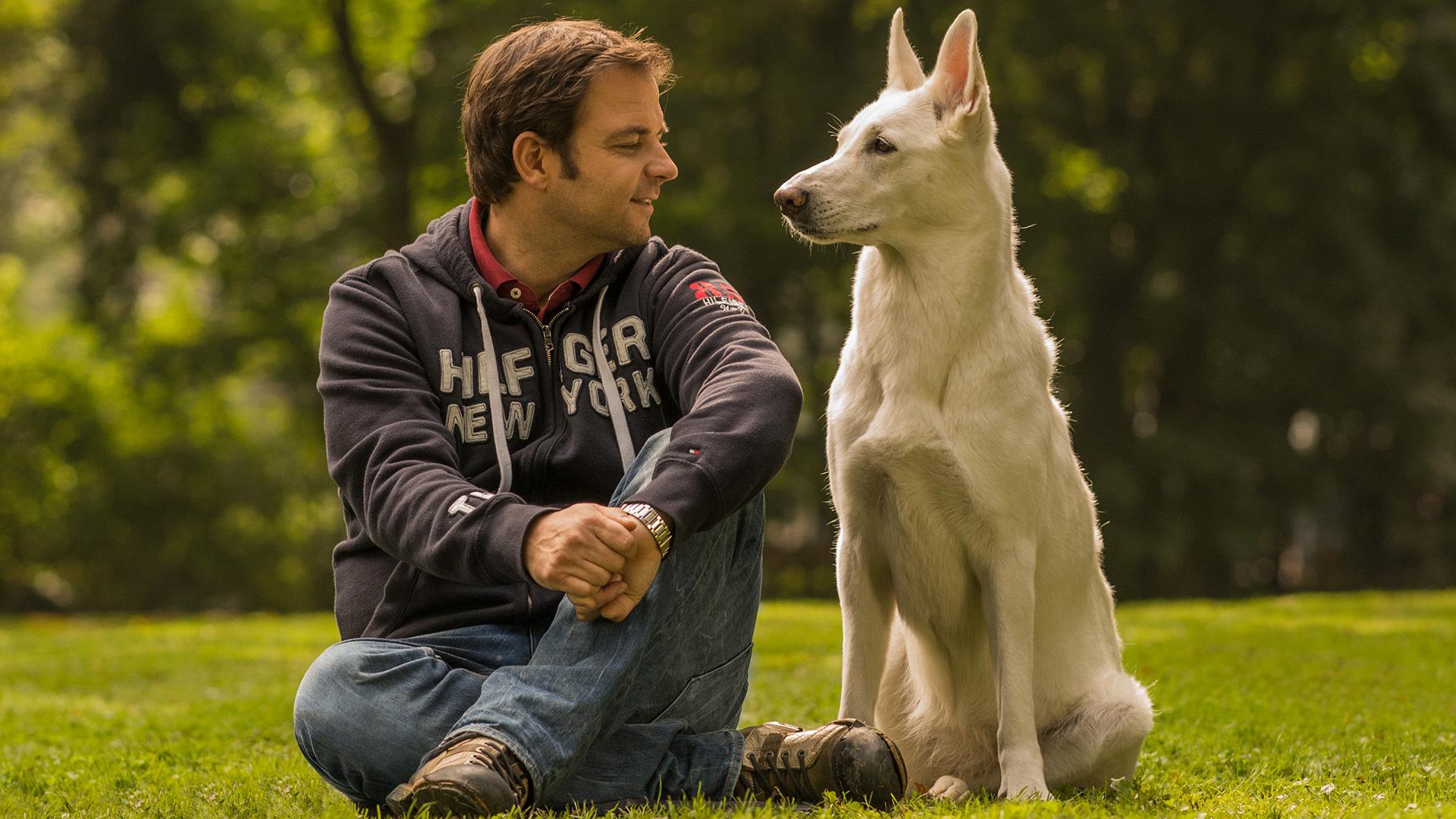3 Fragen an Hundetrainer Martin Rütter Dog-Sharing: Wie sinnvoll ist es ... - Eb99c538 Bb10 4b4c 84bD 44be50843f24