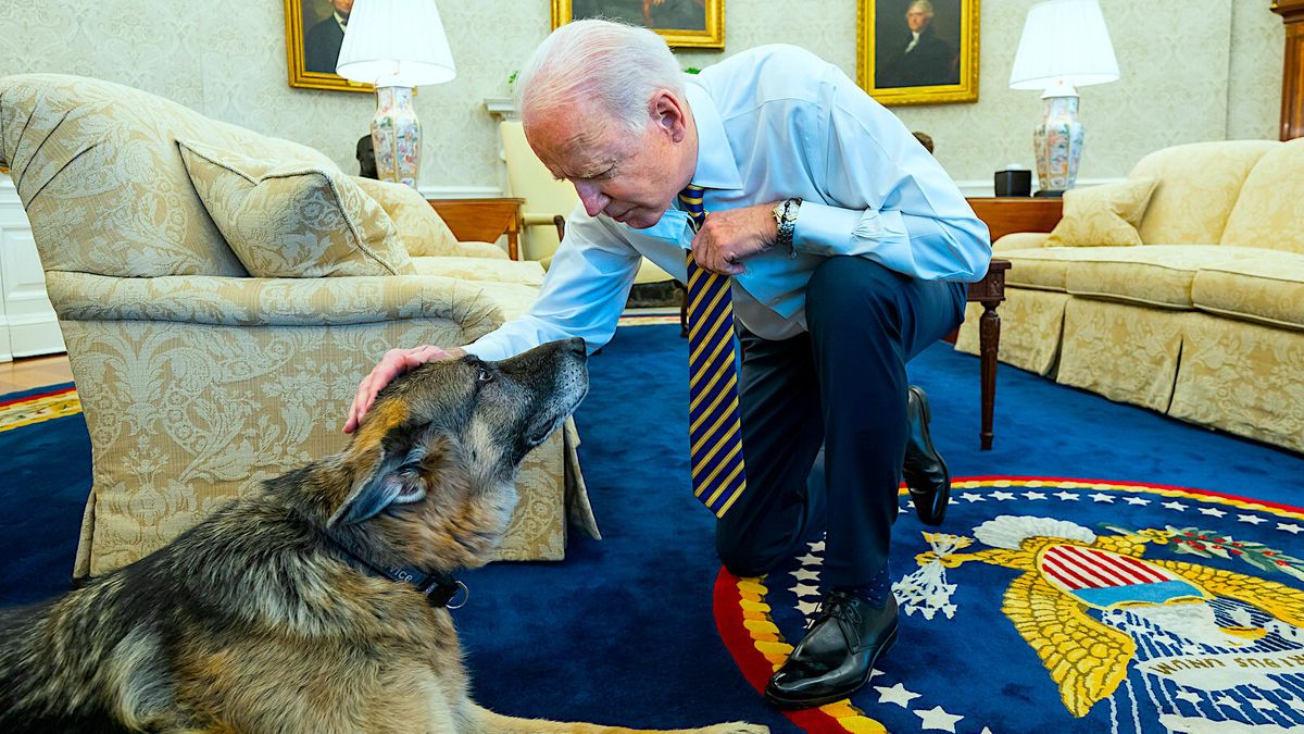 Us Prasident Biden Trauert Um Seinen Schaferhund Champ Br24