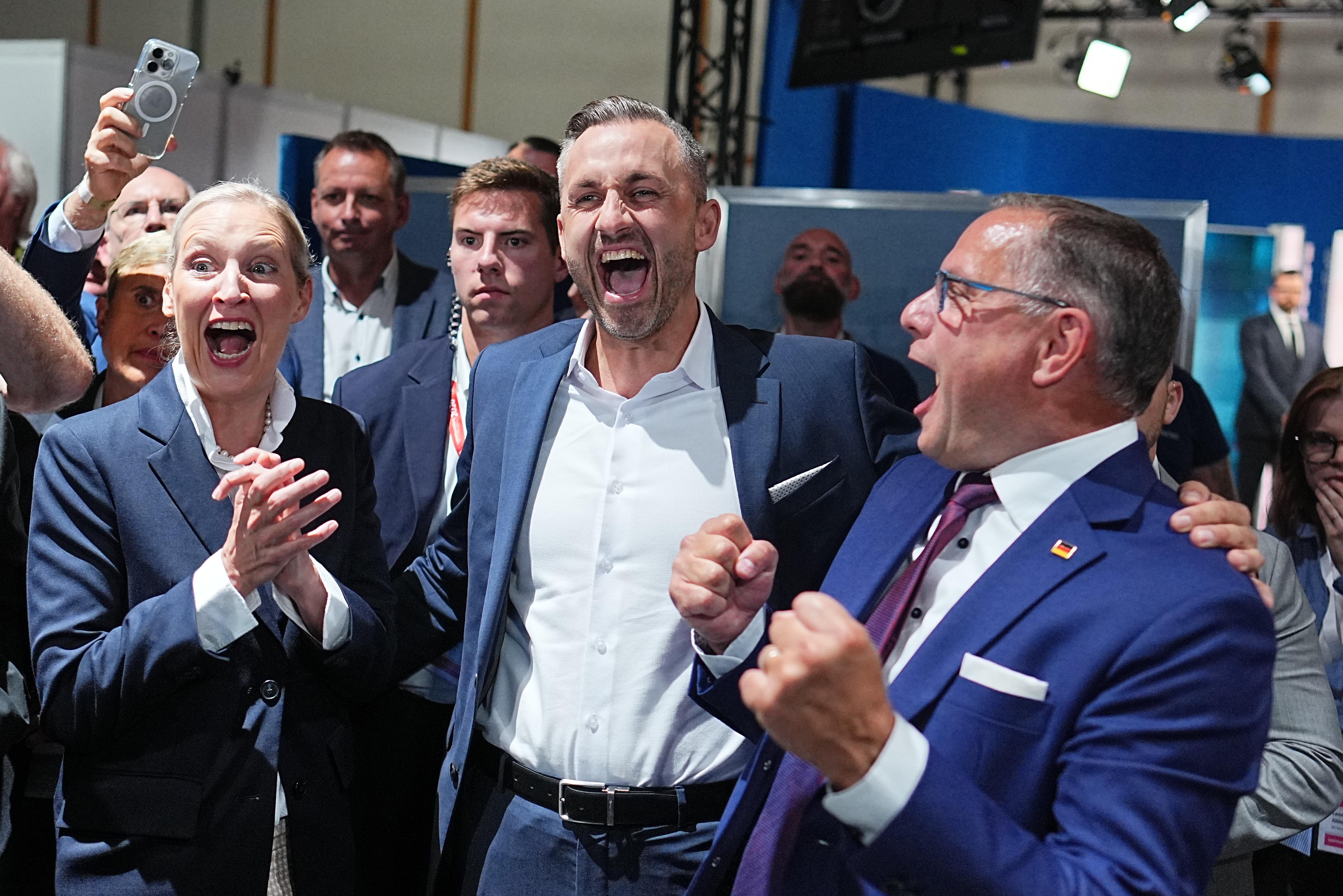 Forecast for Saxony-Anhalt: AfD triumph without an absolute majority