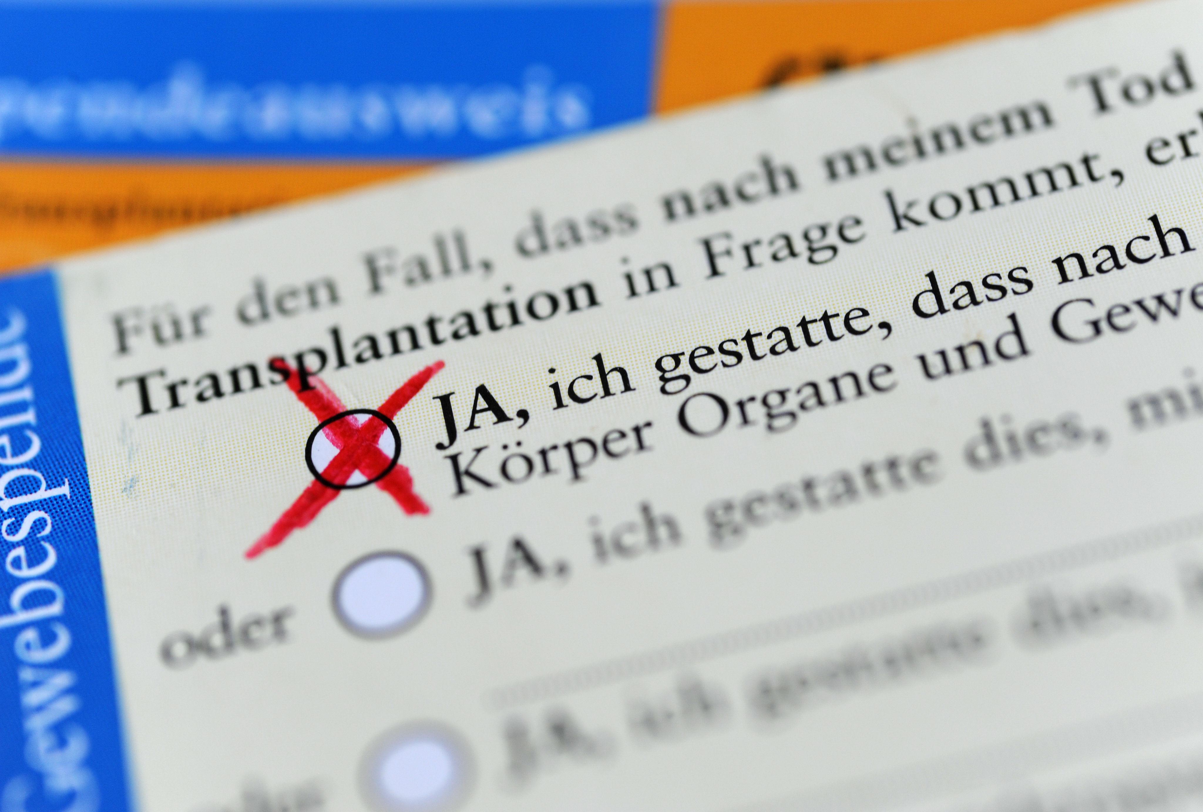 Die Rückseite eines ausgefüllten Organspendeausweises. Das Zustimmungsfeld ist angekreuzt (Archivbild)