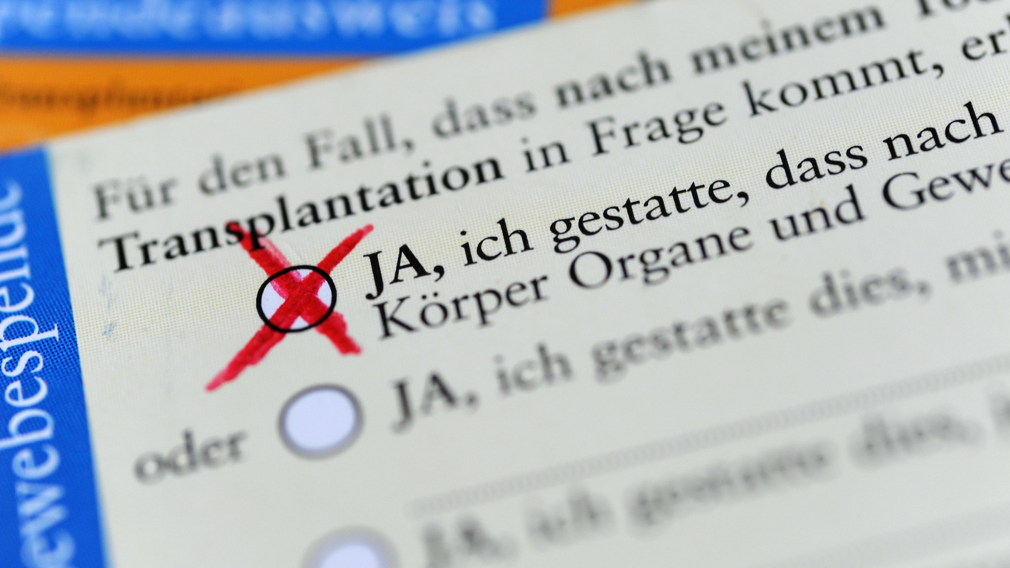 Die Rückseite eines ausgefüllten Organspendeausweises. Das Zustimmungsfeld ist angekreuzt (Archivbild)