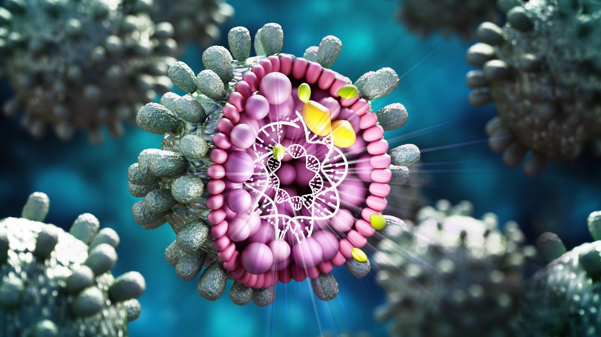 Querschnitt durch ein Hepatitis-B-Virus (Illustration) | Bild: picture alliance / Zoonar | Cigdem Simsek Querschnitt durch ein Hepatitis-B-Virus (Illustration)