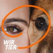 WirTier - Ein Podcast über die Begegnung von Mensch und Tier | Bild: stock.adobe.com/Eva | Bearbeitung: BR
