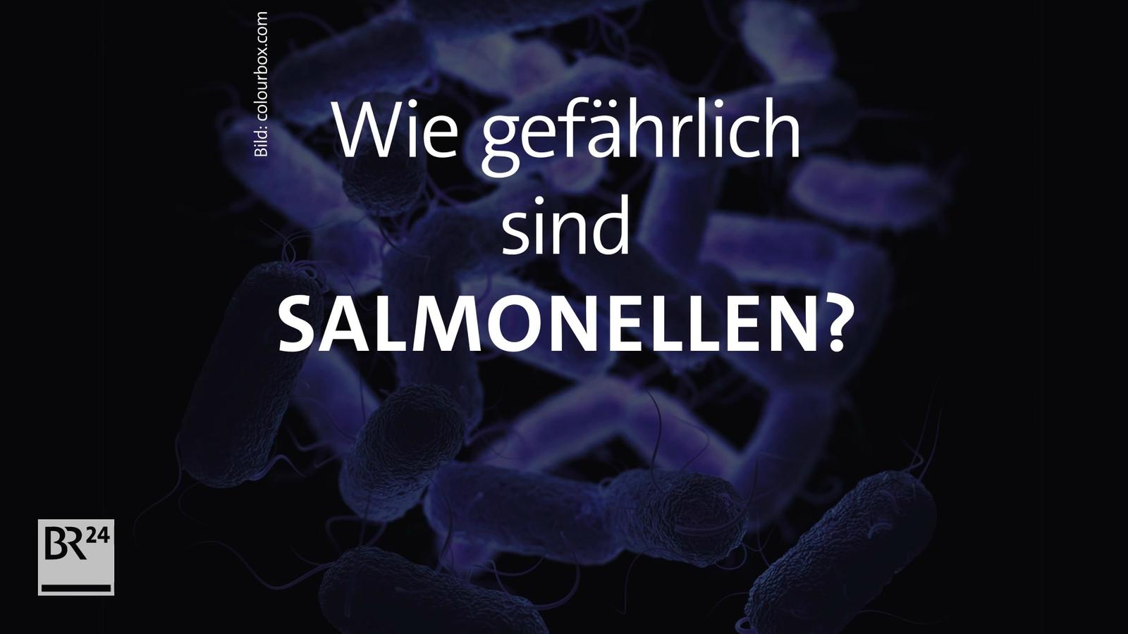 #fragBR24: Wie gefährlich sind Salmonellen? | BR24