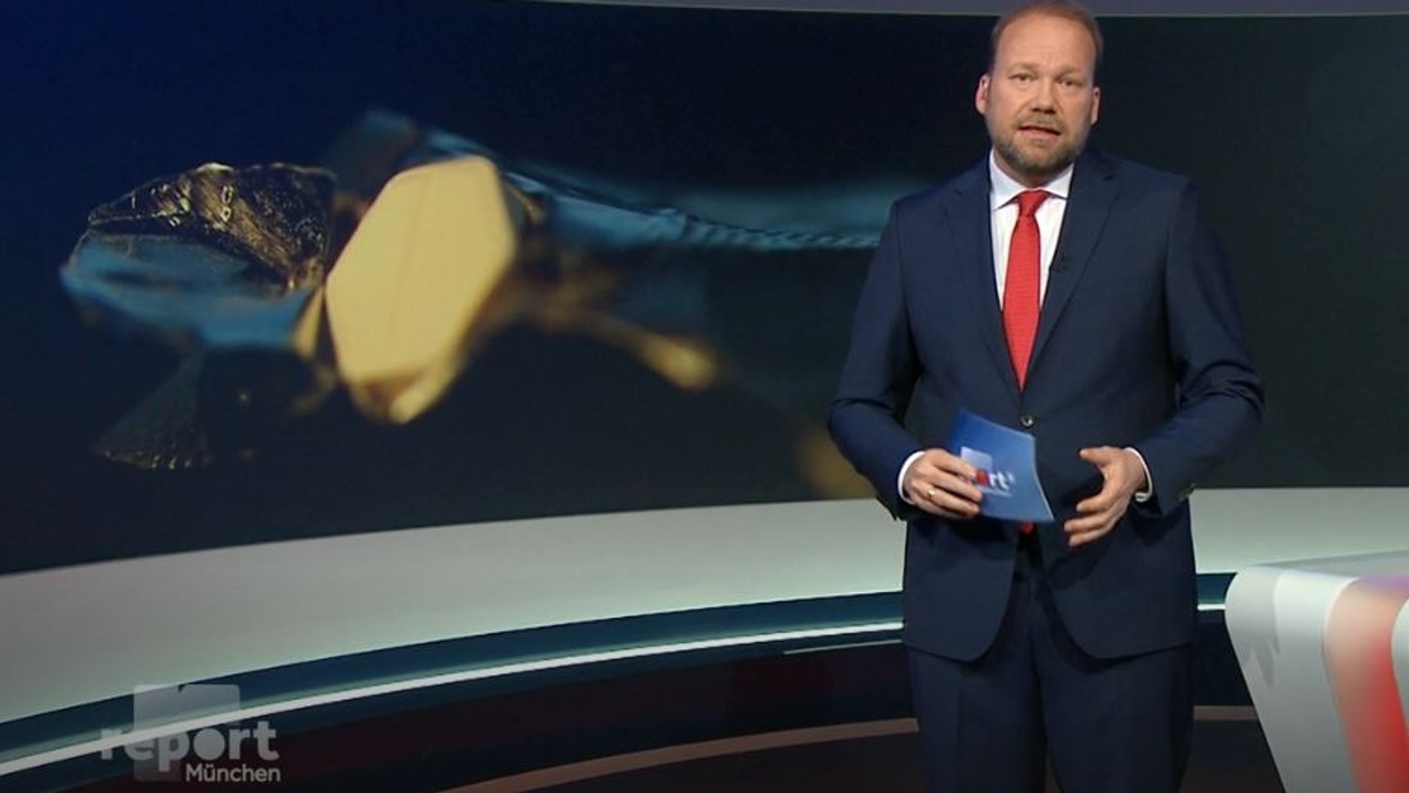 report München: Gefährliche Geburtseinleitung | Bild: BR report München: Gefährliche Geburtseinleitung