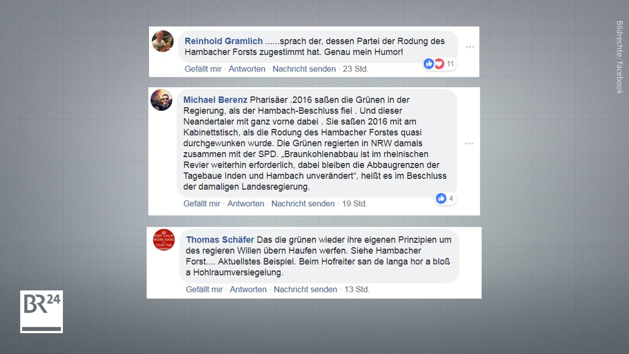 Kommentare über die Grünen auf Facebook