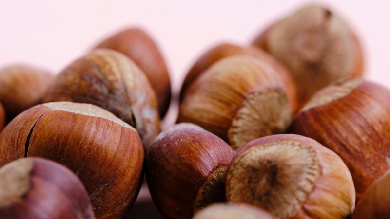 Haselnüsse | Bild: Colourbox Haselnüsse