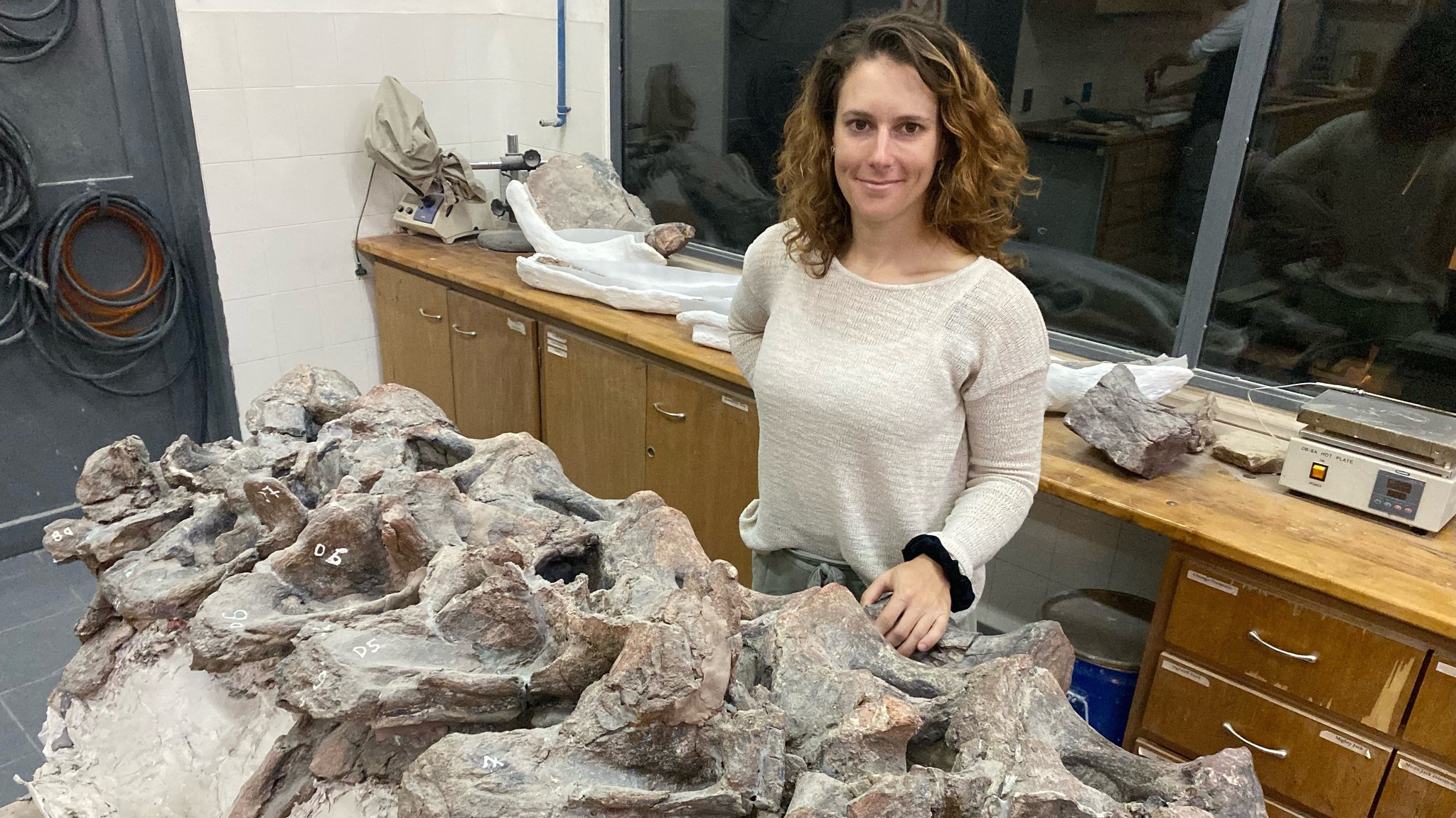 Paläontologin Alexandra Reutter von der LMU mit dem Skelett des Bicharracosaurus dionidei.