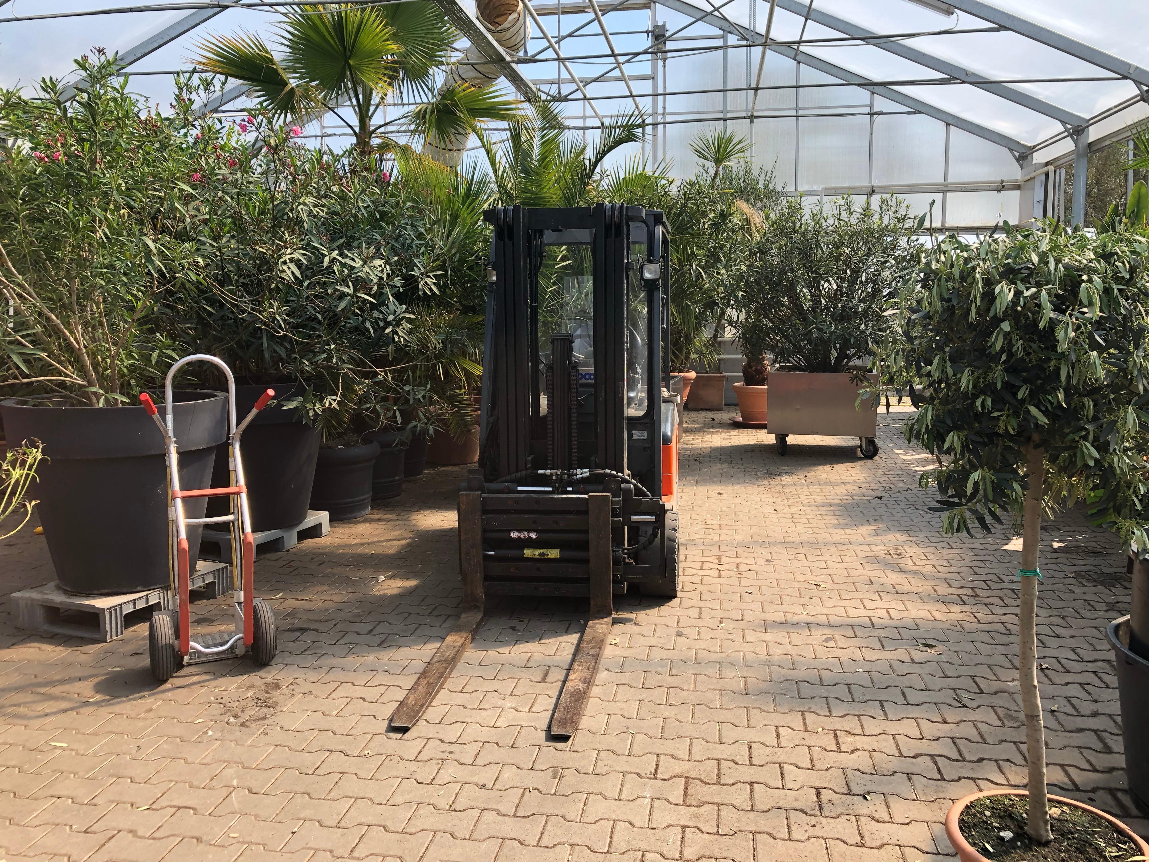 Exotische Pflanzen Uberwintern Als Geschaftsmodell Br24