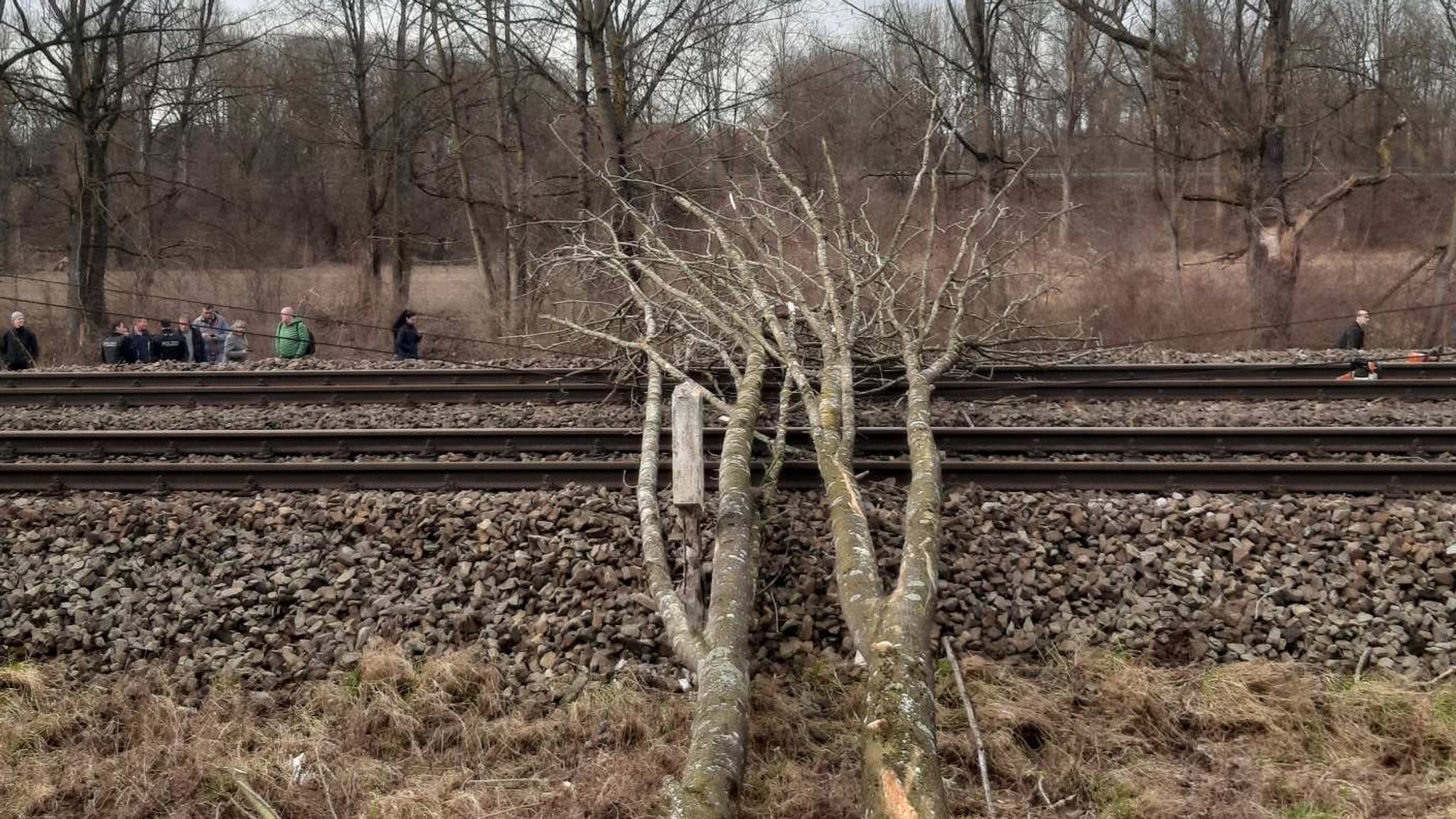 Baum liegt bei Marzling auf den Gleisen der Bahnstrecke München-Regensburg.