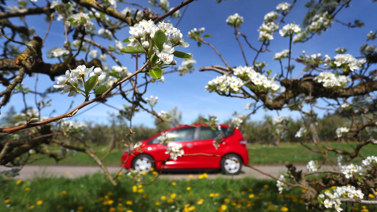Führerschein, Fahrzeugpapiere und ePA: Das ändert sich im April