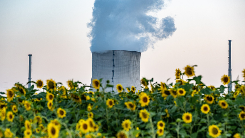 21.07.2022, Bayern, Essenbach: Wasserdampf steigt hinter Sonnenblumen aus dem Kühltum des Atomkraftwerks (AKW) Isar 2. 