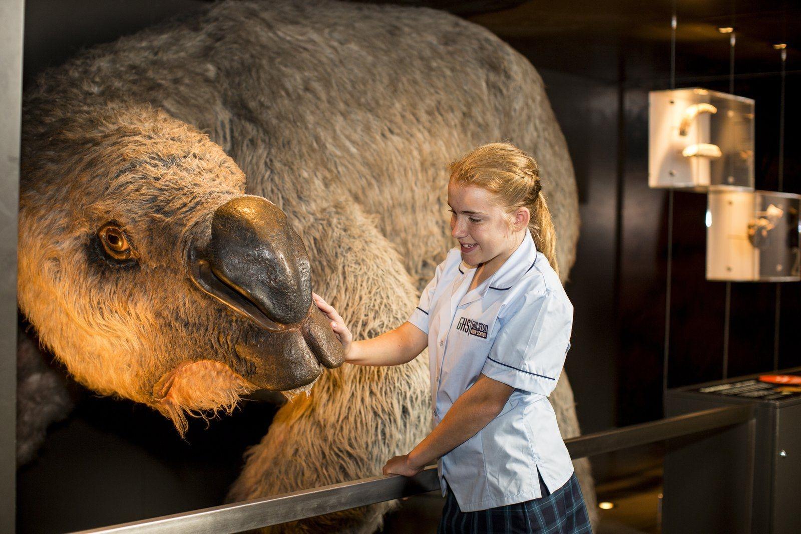 Vollstandiger Kiefer Eines Riesenwombats In Australien Gefunden Br24