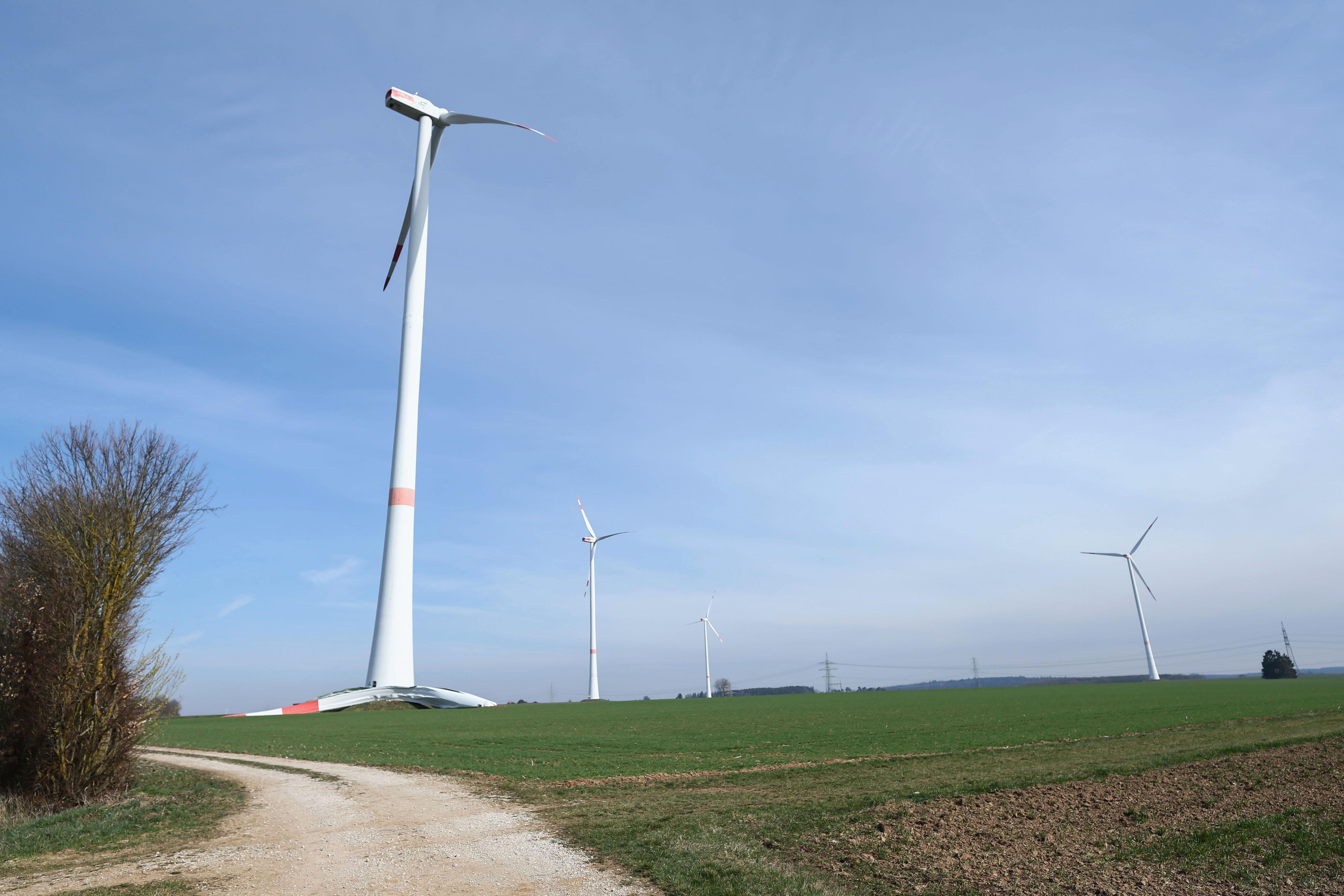 Blick in den Bürgerwindpark Berching. 