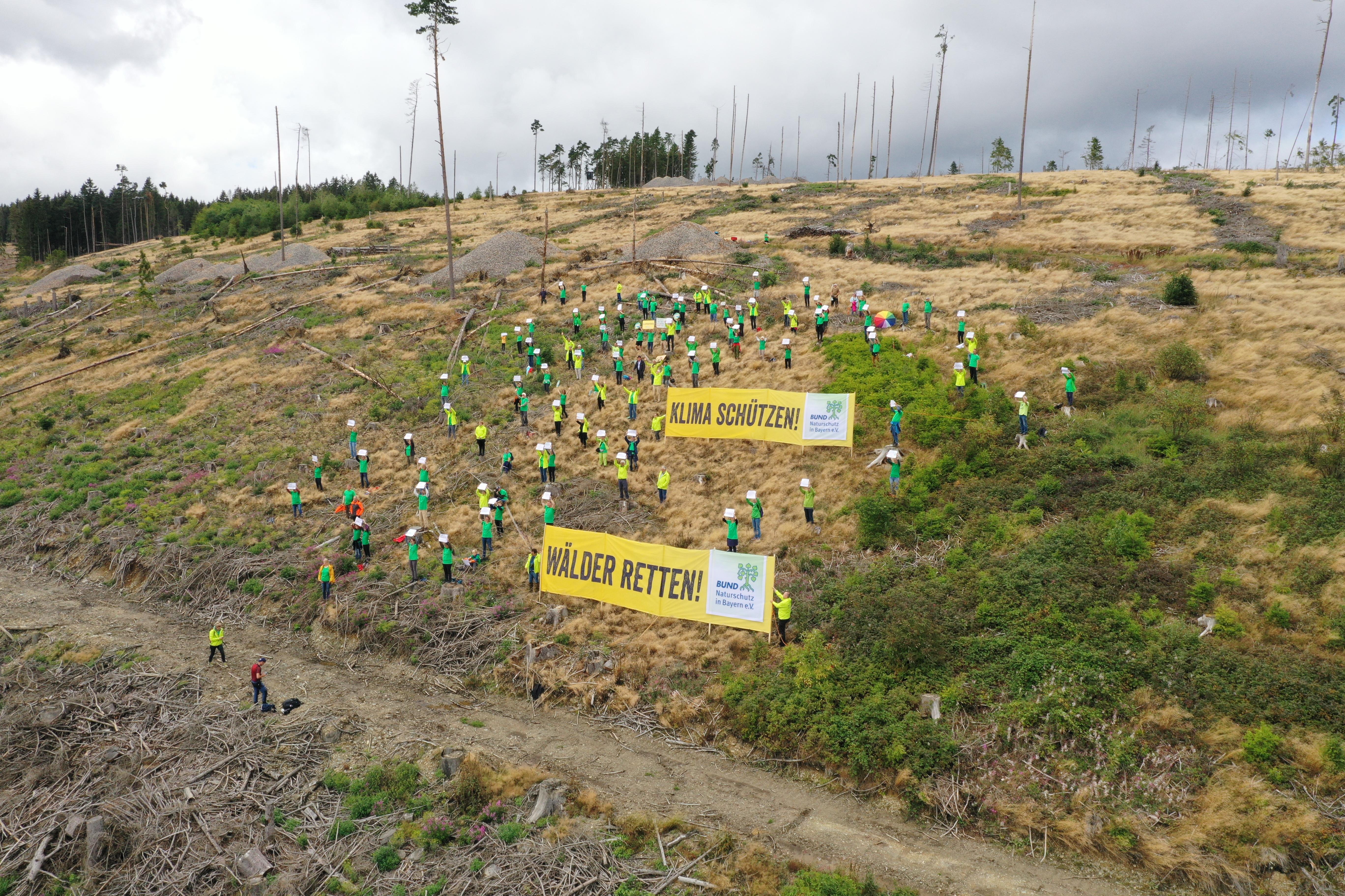 Eine Drohnenaufnahme zeigt eine kahle Waldfläche, auf der Menschen Banner mit der Aufschrift "Wälder retten" in die Höhe halten. | Bild:BR/Michael Böhm
