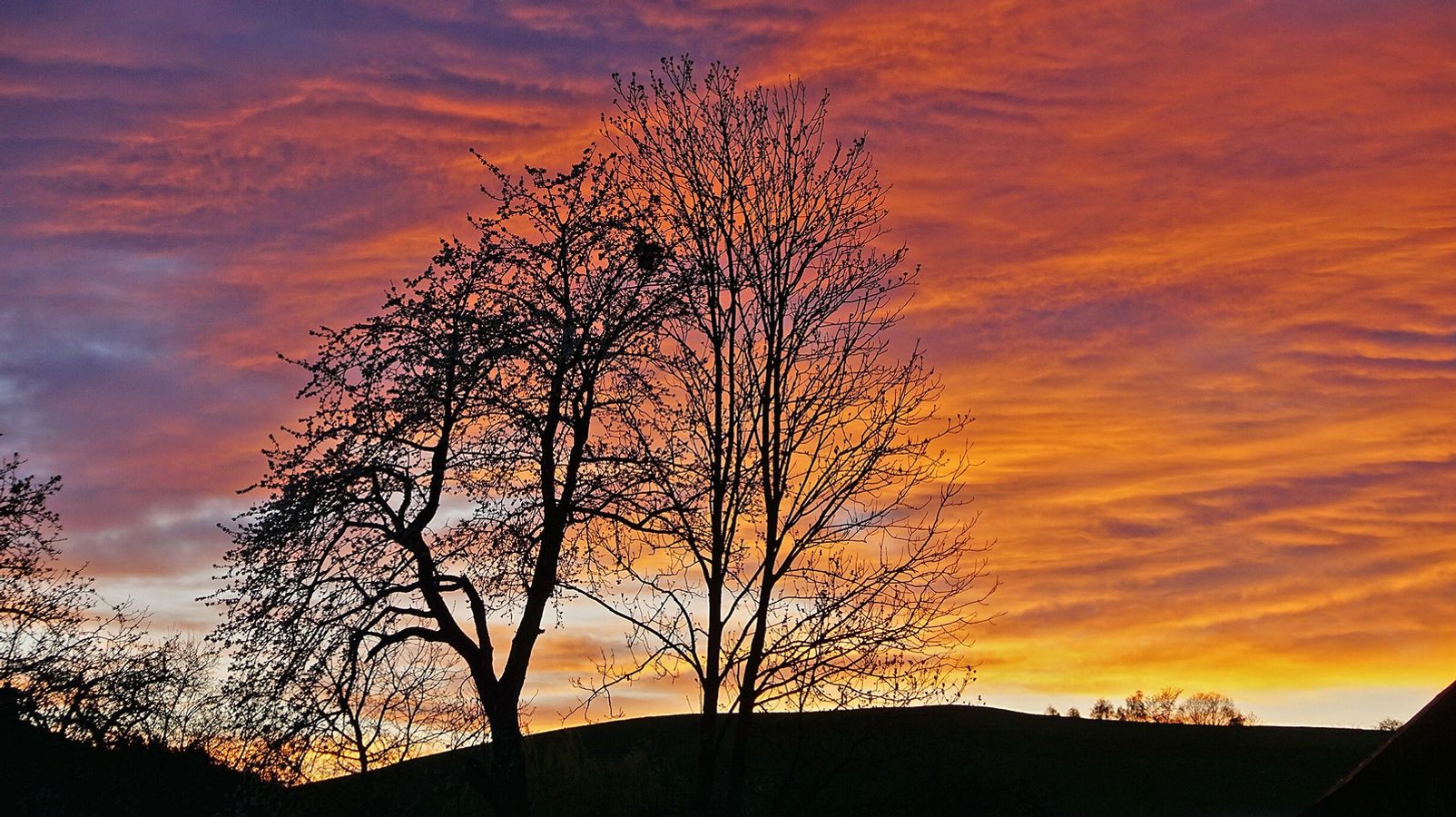 Wetter in Bayern: Trüber Himmel - Saharastaub über dem Freistaat