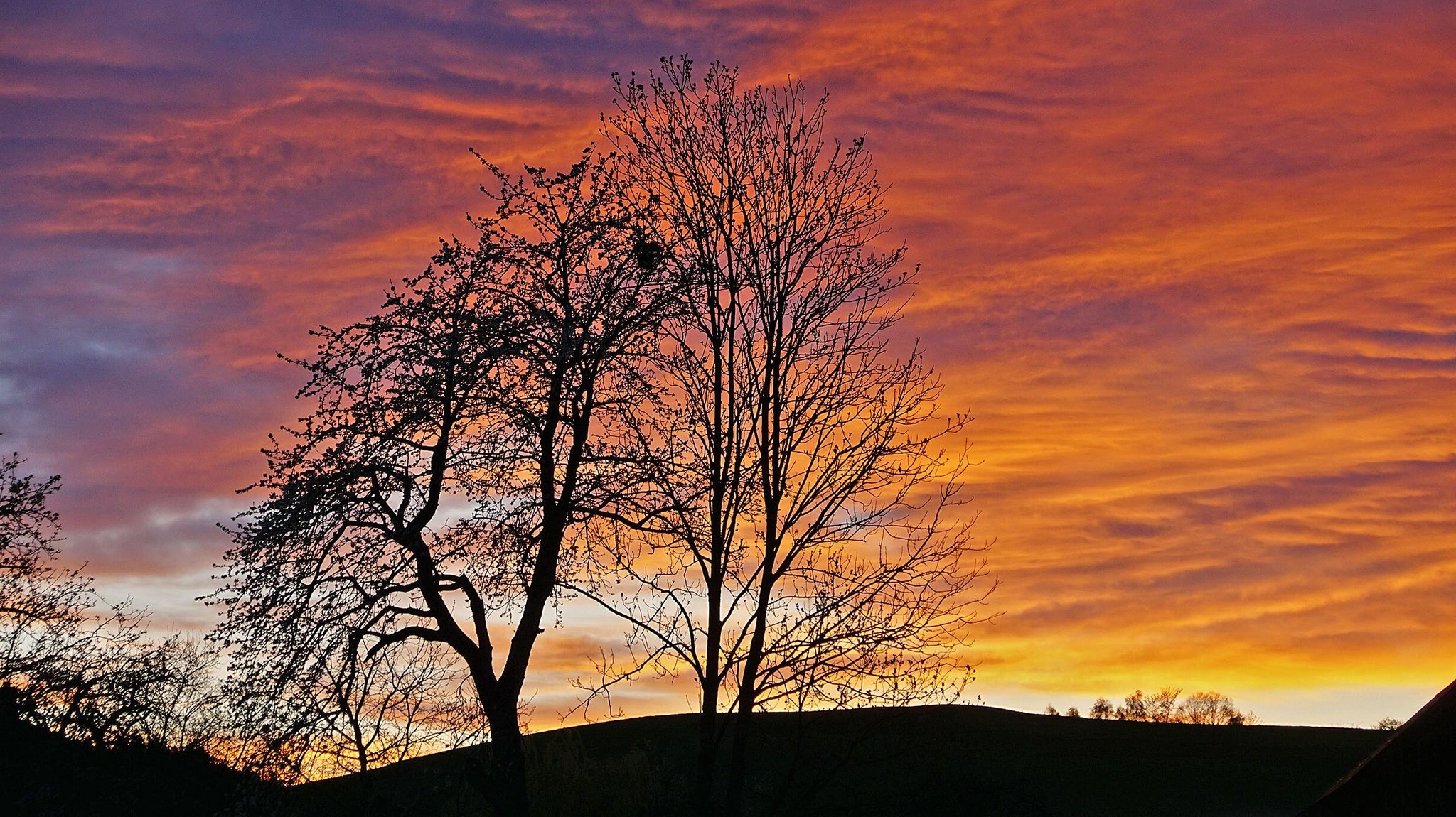 (Symbolbild) Saharastaub färbt den Sonnenuntergang rot