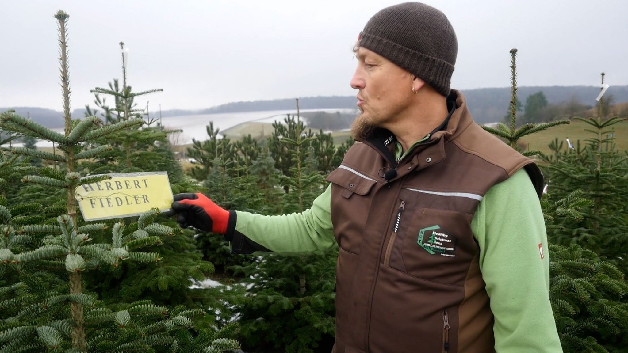 Christoph Herbert begutachtet einen Christbaum und spricht darüber.