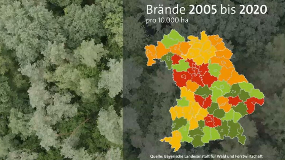 Zwischen 2005 und 2020 gab es in Mittelfranken die meisten Waldbrände in Bayern. Aber auch die Oberpfalz und Unterfranken sind stark betroffen.