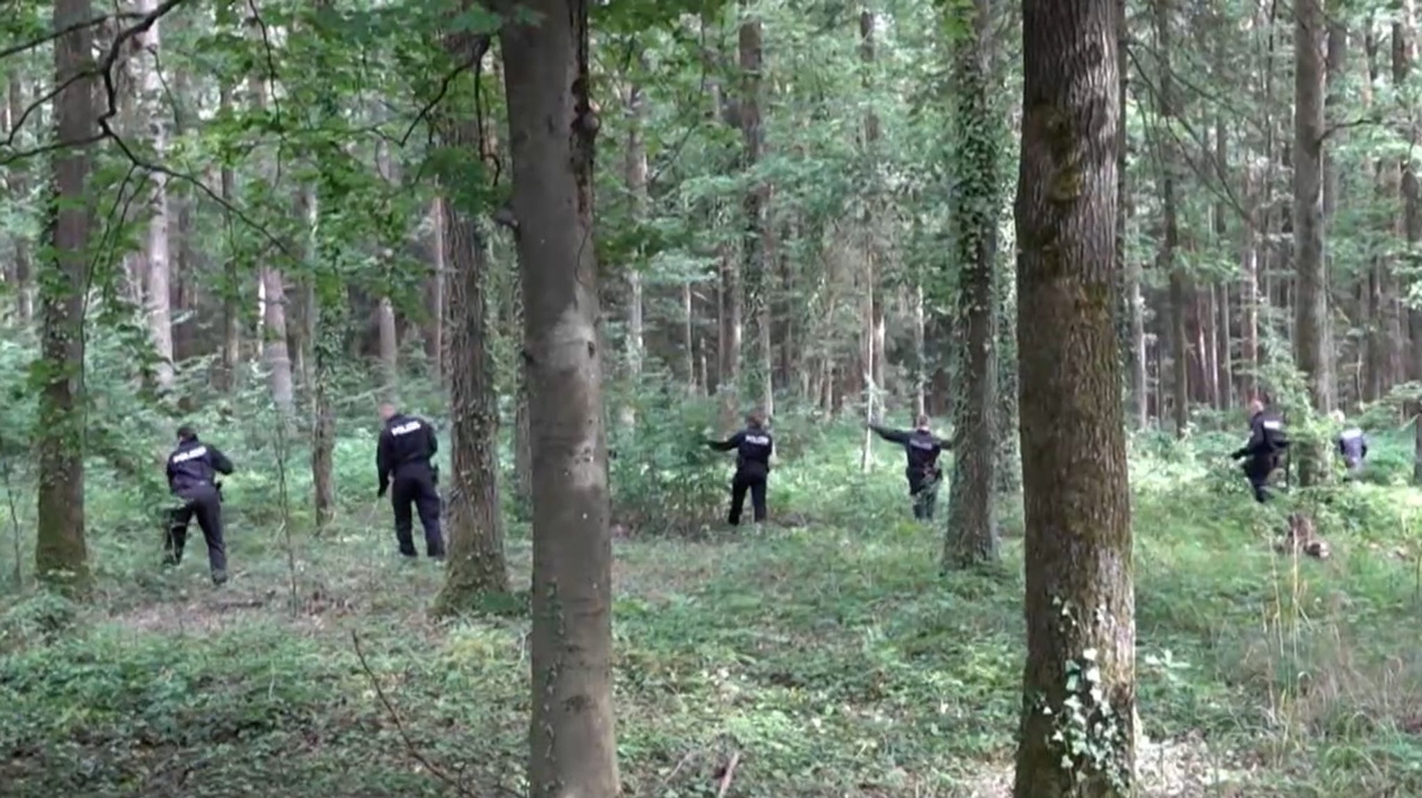 Polizeibeamte durchsuchen einen Wald in Oberfranken