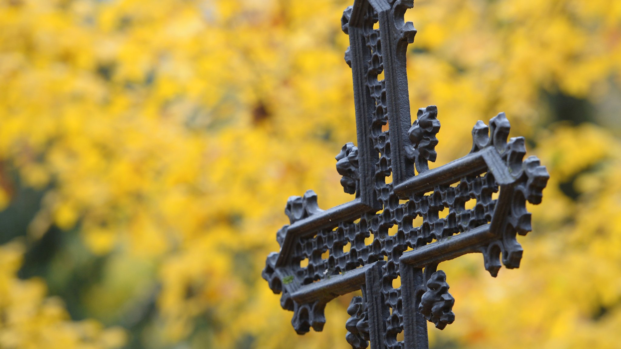 Friedhofskreuz (Symbolbild) | Bild: dpa-Bildfunk/Patrick Seeger Friedhofskreuz (Symbolbild)