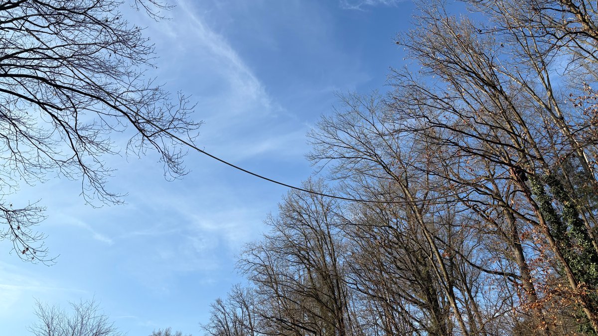 Sichere Straßenüberquerung – Eichhörnchenbrücke in Zirndorf 