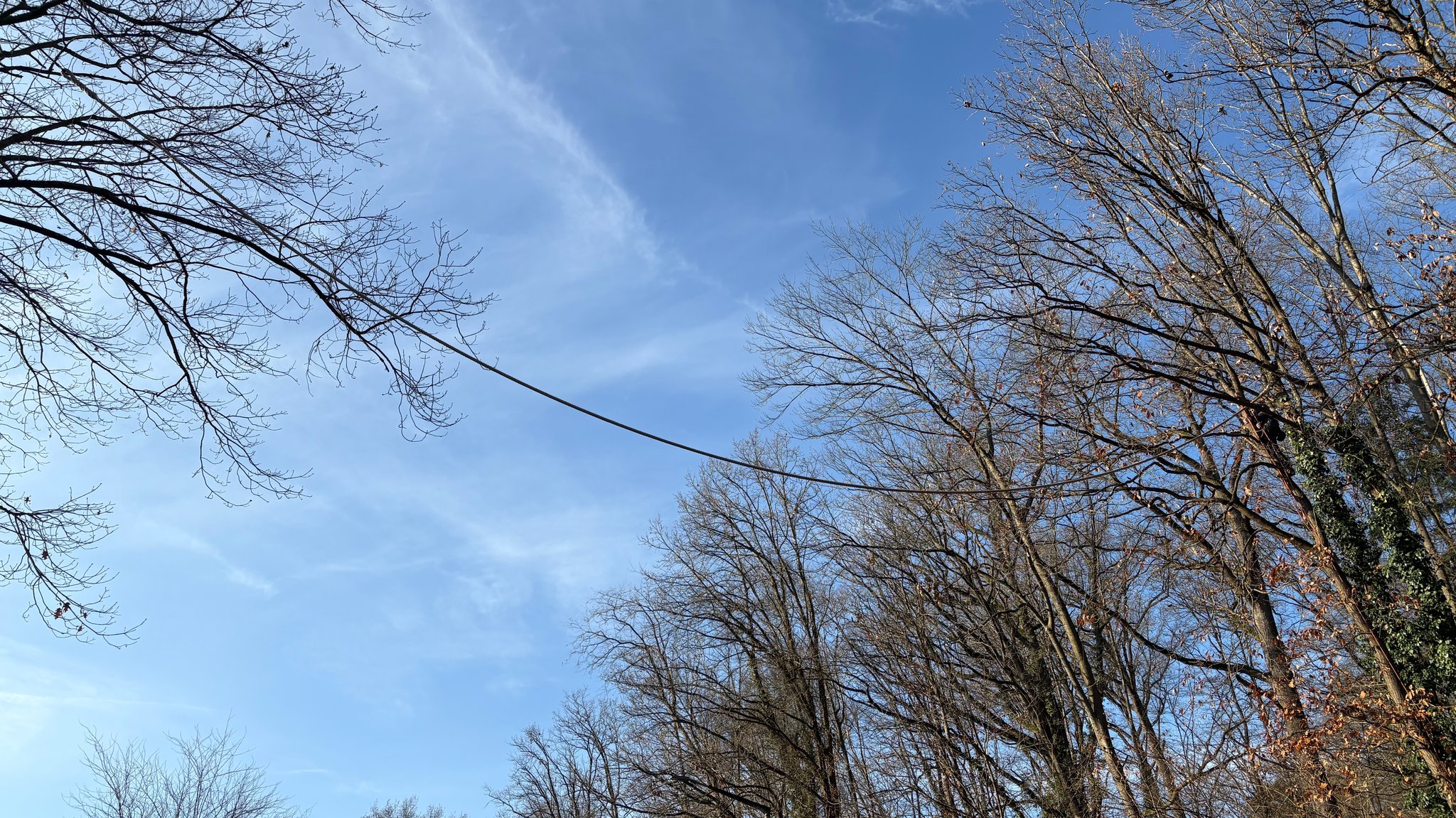 Sichere Straßenüberquerung – Eichhörnchenbrücke in Zirndorf 