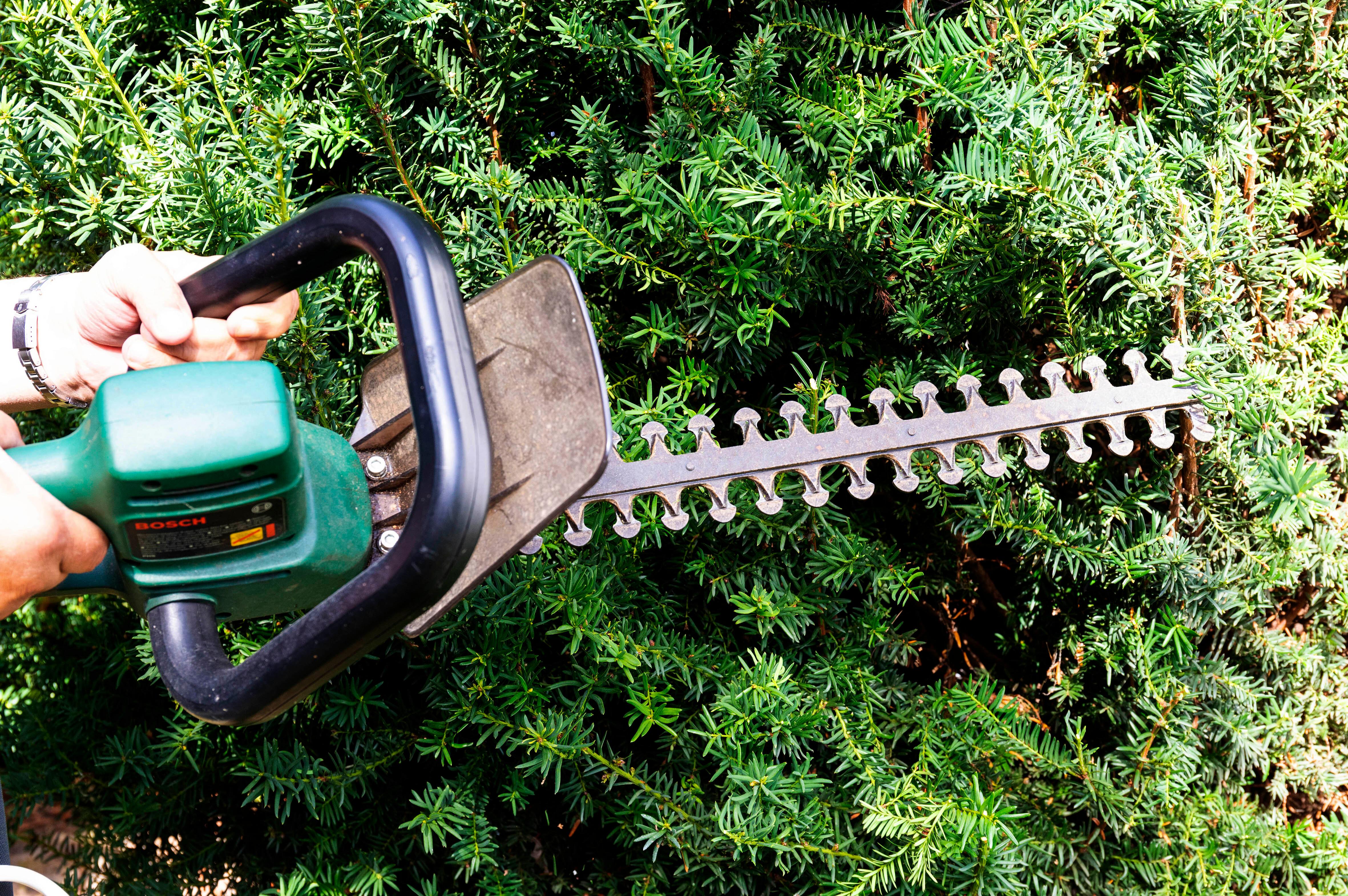 Eine Heckenschere vor einer Hecke